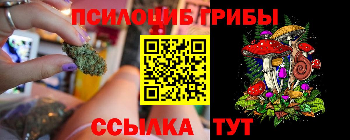 Псилоцибиновые грибы мухоморы Светлоград